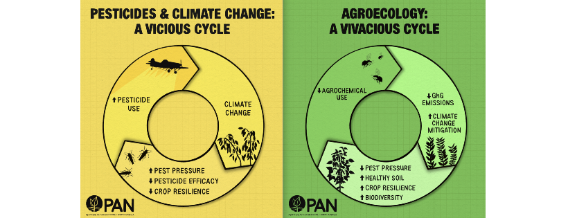 Pesticide Action Network North America