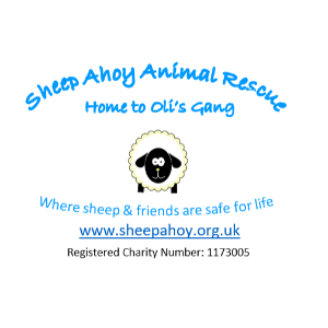 Sheep Ahoy aka Oli's Gang
