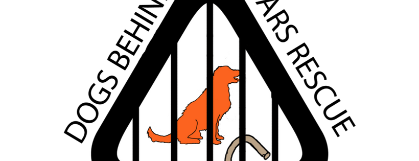 Dogs behind Bars