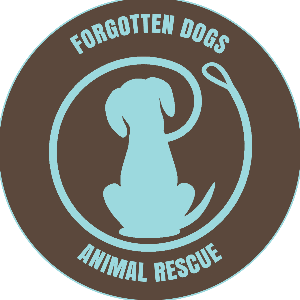 Forgotten Dogs Animal Rescue