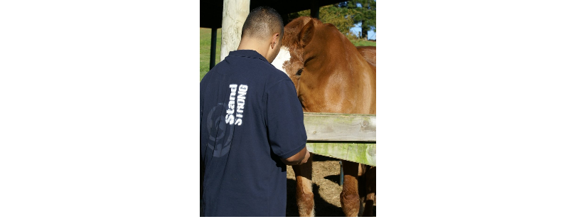 H.E.A.R.T.S. Charitable Trust