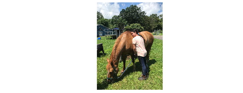 Horses for a Change