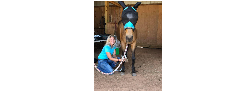 Wiregrass Horse Rescue & Sanctuary