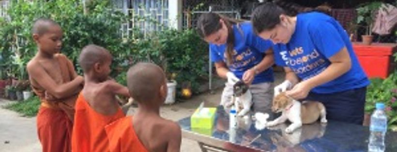 Vets Beyond Borders