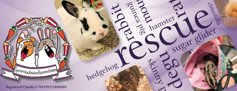 Popcorns & Binkies Rescue Haven Inc.