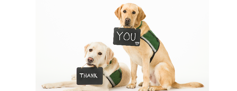 Summit Assistance Dogs