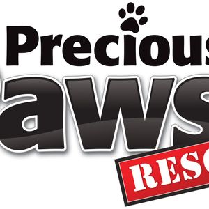 Precious Paws Rescue Logo