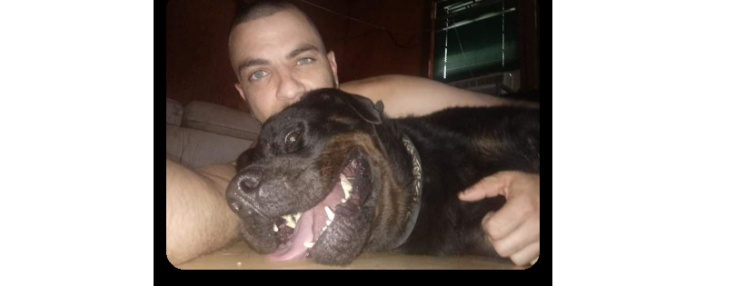 Pitbullslivesmatter
