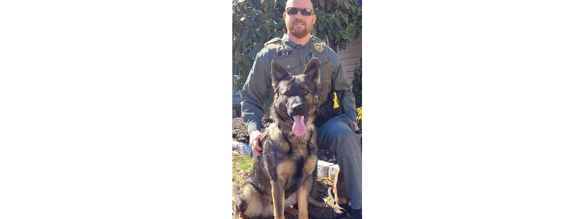 New England Canine Search & Rescue Inc