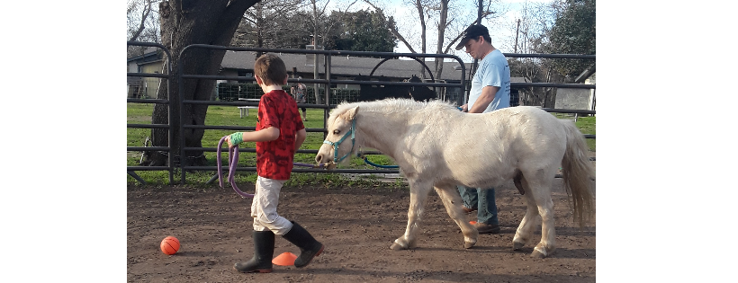 Runnin Free Ranch