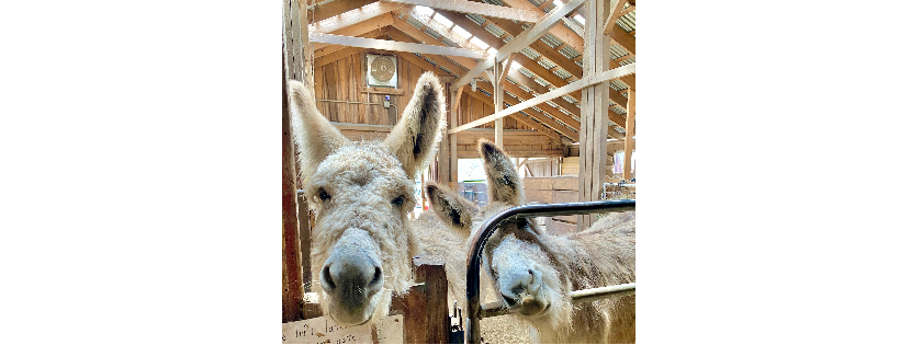 The Farmette