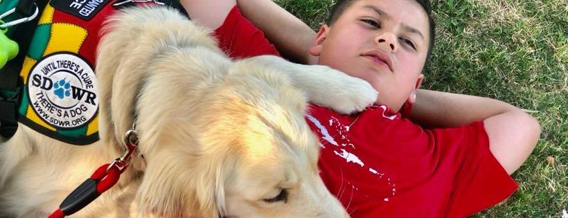 Service Dogs by SDWR