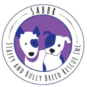 Staffy and Bully Breed Rescue Inc.