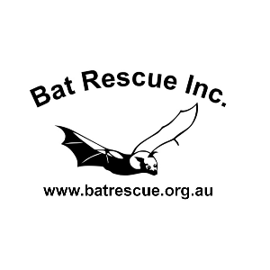 Bat Rescue Inc.