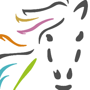 Equine Therapy Inc.