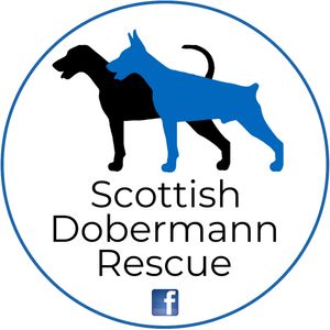 Scottish Dobermann Rescue SCIO Logo