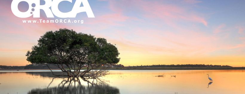 Ocean Research & Conservation Association