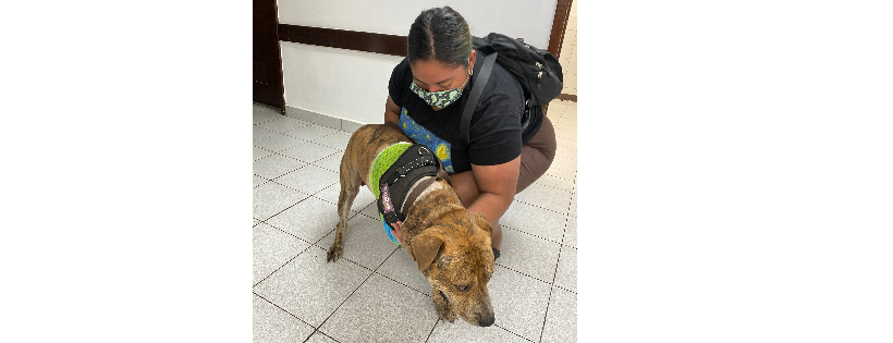 Love’s Animal Rescue
