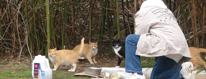 Community Cats Coalition