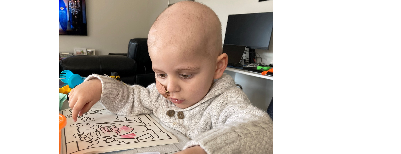 The Leila Rose Foundation