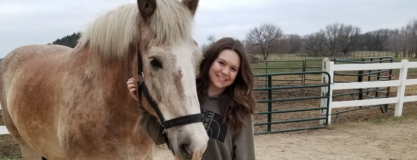Serenity Horse Rescue Inc