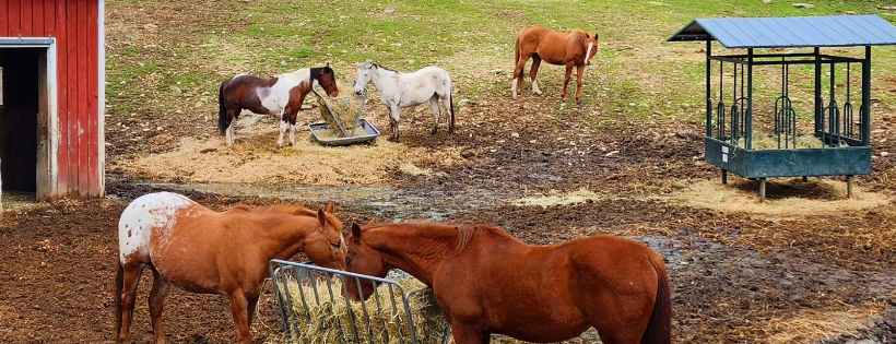 Blessings Farm