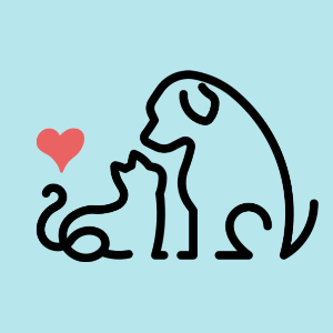 Friends of the shelters