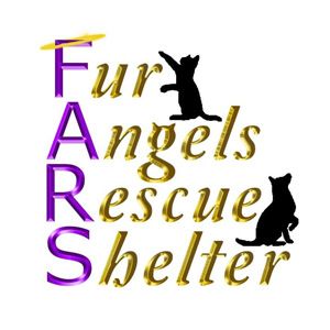 Fur Angels Rescue Shelter Logo