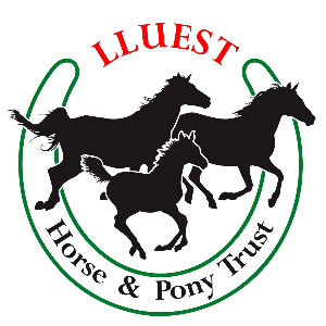 Lluest Horse and Pony Trust Logo