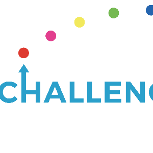 Challenging Perceptions CIO