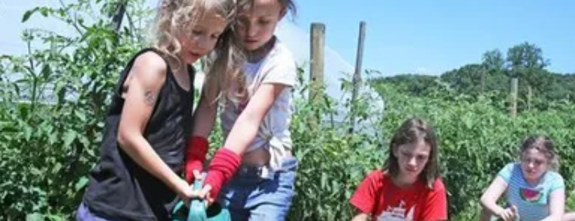 Rockland Farm Alliance