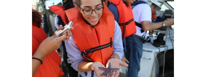Algalita Marine Research & Education