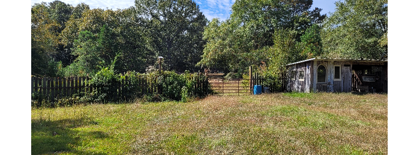 SafeHouse Sanctuary and Retreat