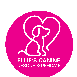 Ellie's Canine Rescue and Rehome