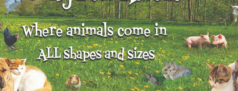 Wonky Pets Rescue