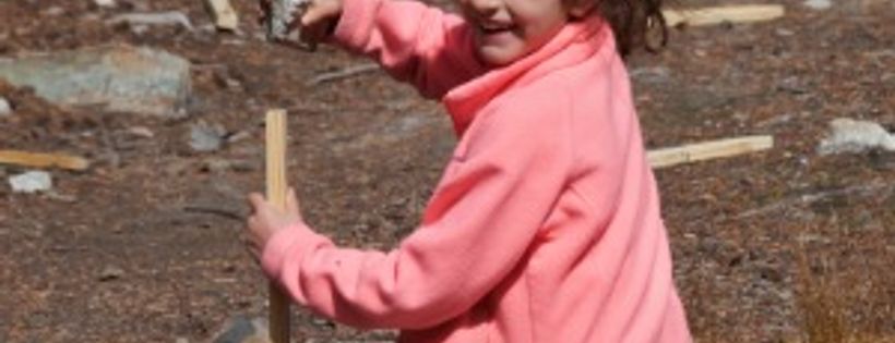 National Forest Foundation