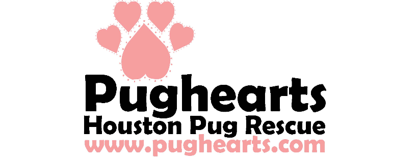 PugHearts, the Houston Pug rescue