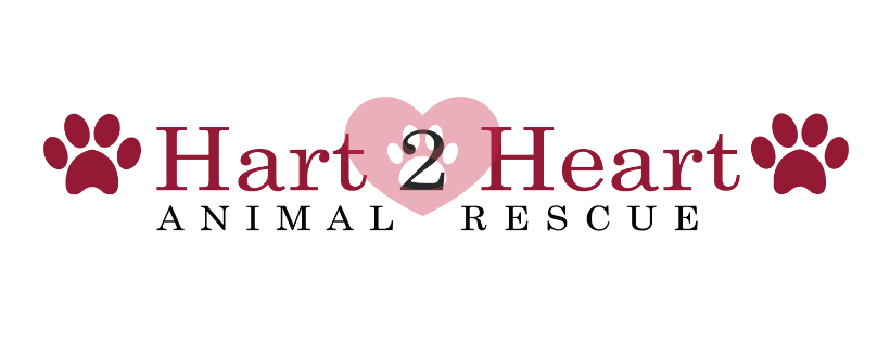 Hart 2 Heart Animal Rescue