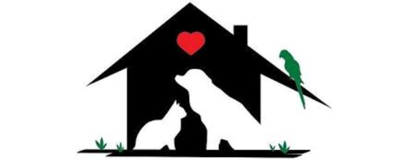 Angels helping Animals