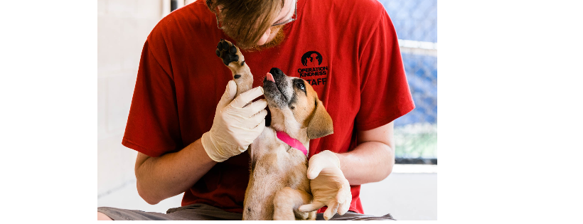 Operation Kindness