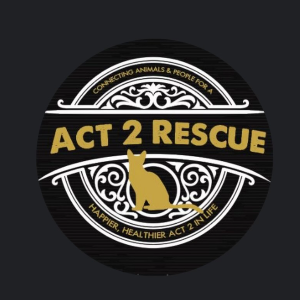 Act 2 Rescue Logo