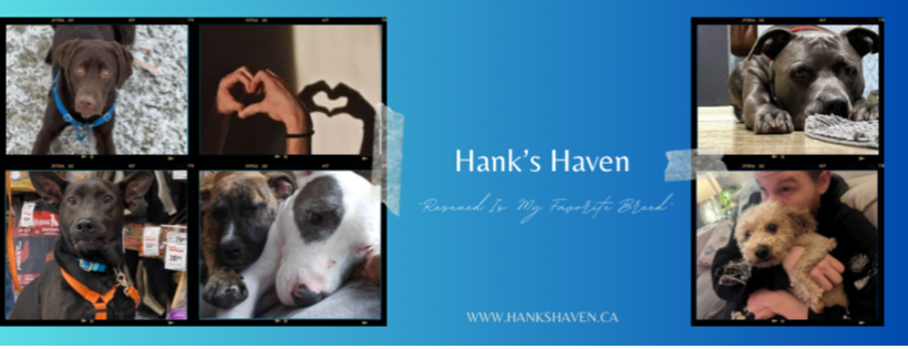 Hank’s Haven Rescue Foundation (12107864 Canada Foundation)