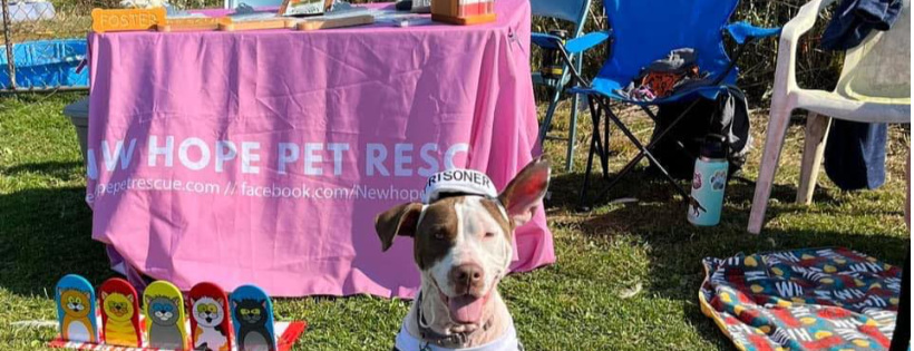New Hope Pet Rescue - Michigan