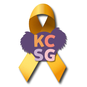 Kids Cancer Support Group