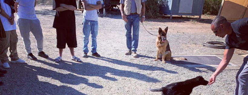 K9 4 Kids