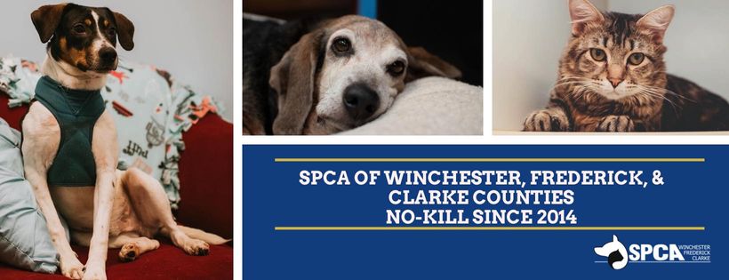 SPCA Winchester, Frederick & Clarke Counties