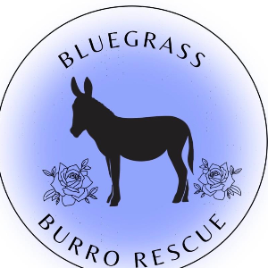Bluegrass Burro Rescue
