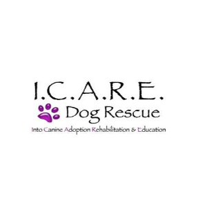I.C.A.R.E. Dog Rescue