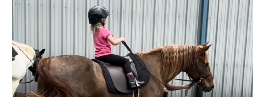 Peppermint Equine Project