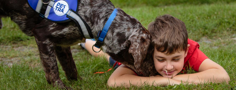 ADI - Assistance Dogs International